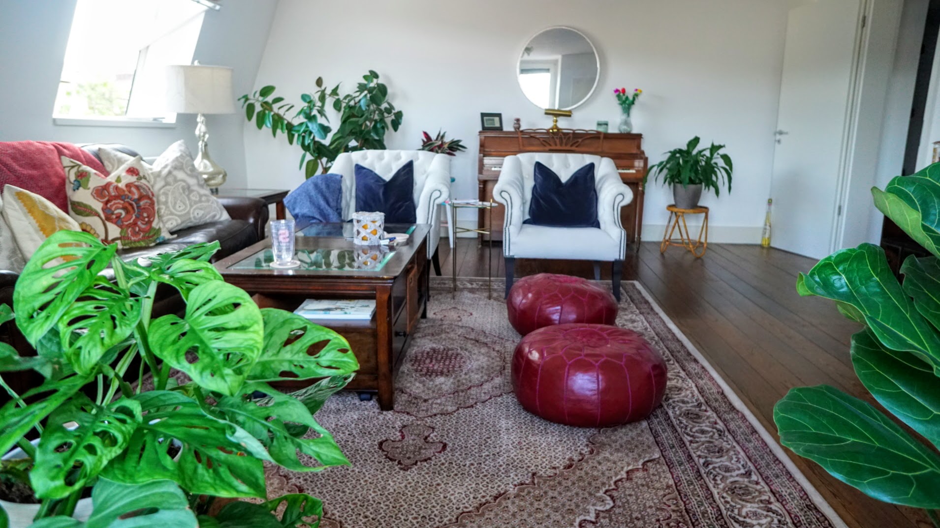 My House Plants And A Peek Into Our Stuttgart Home